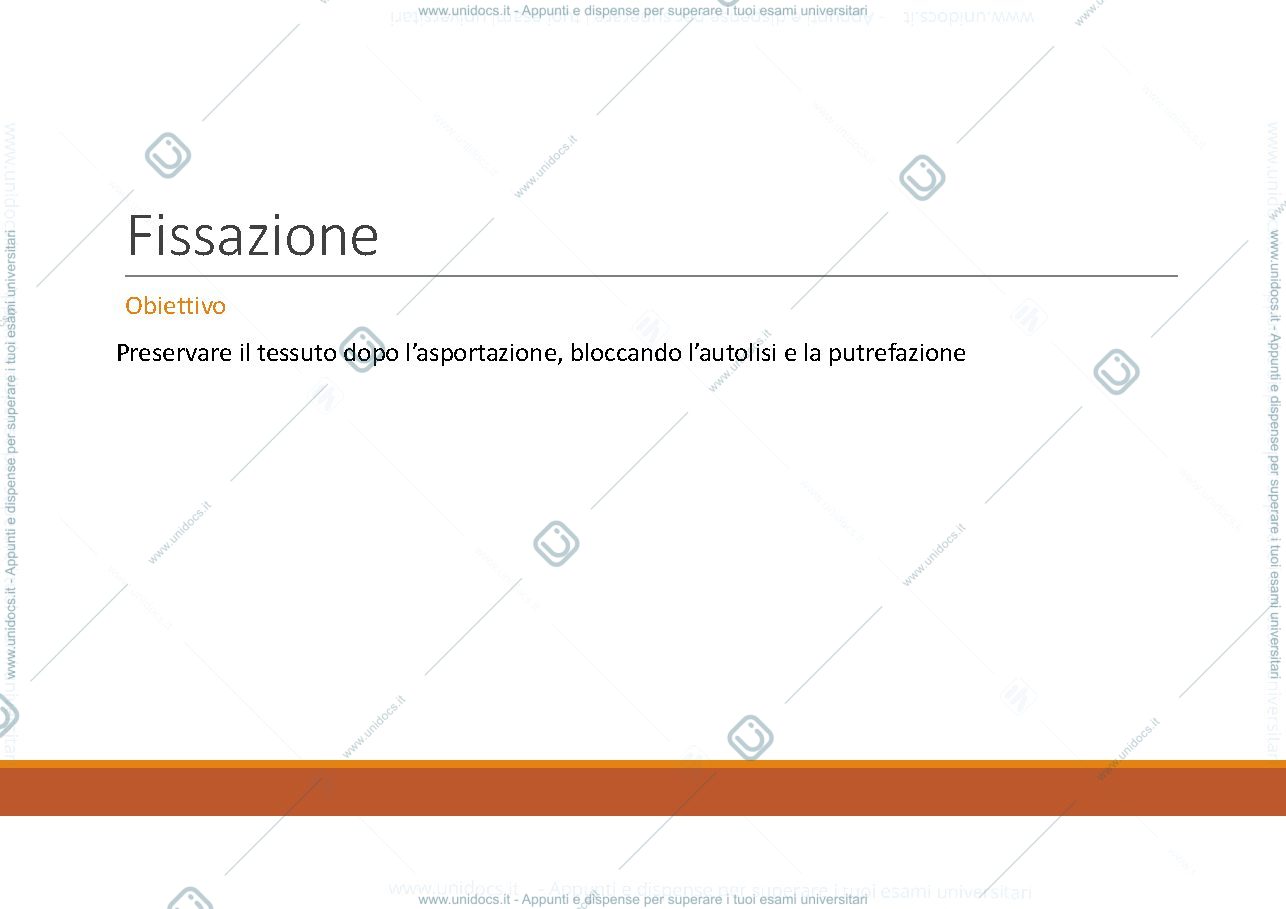 Anteprima pagina 3 — anatomia
