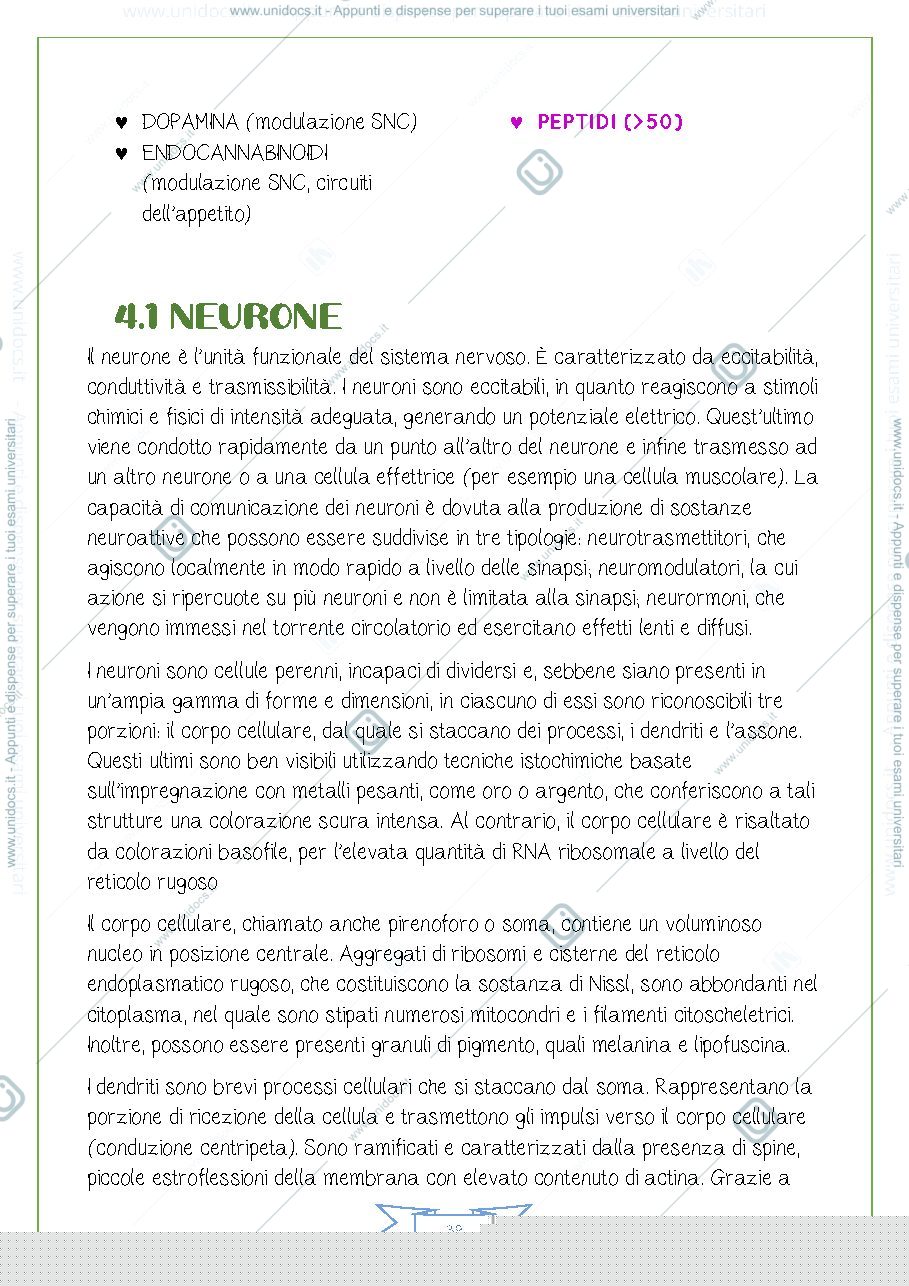 Anteprima pagina 3 — TESSUTO NERVOSO