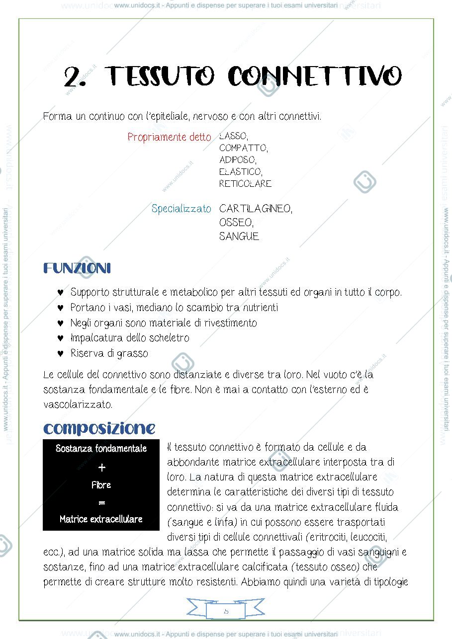 Anteprima pagina 1 — TESSUTO CONNETTIVO