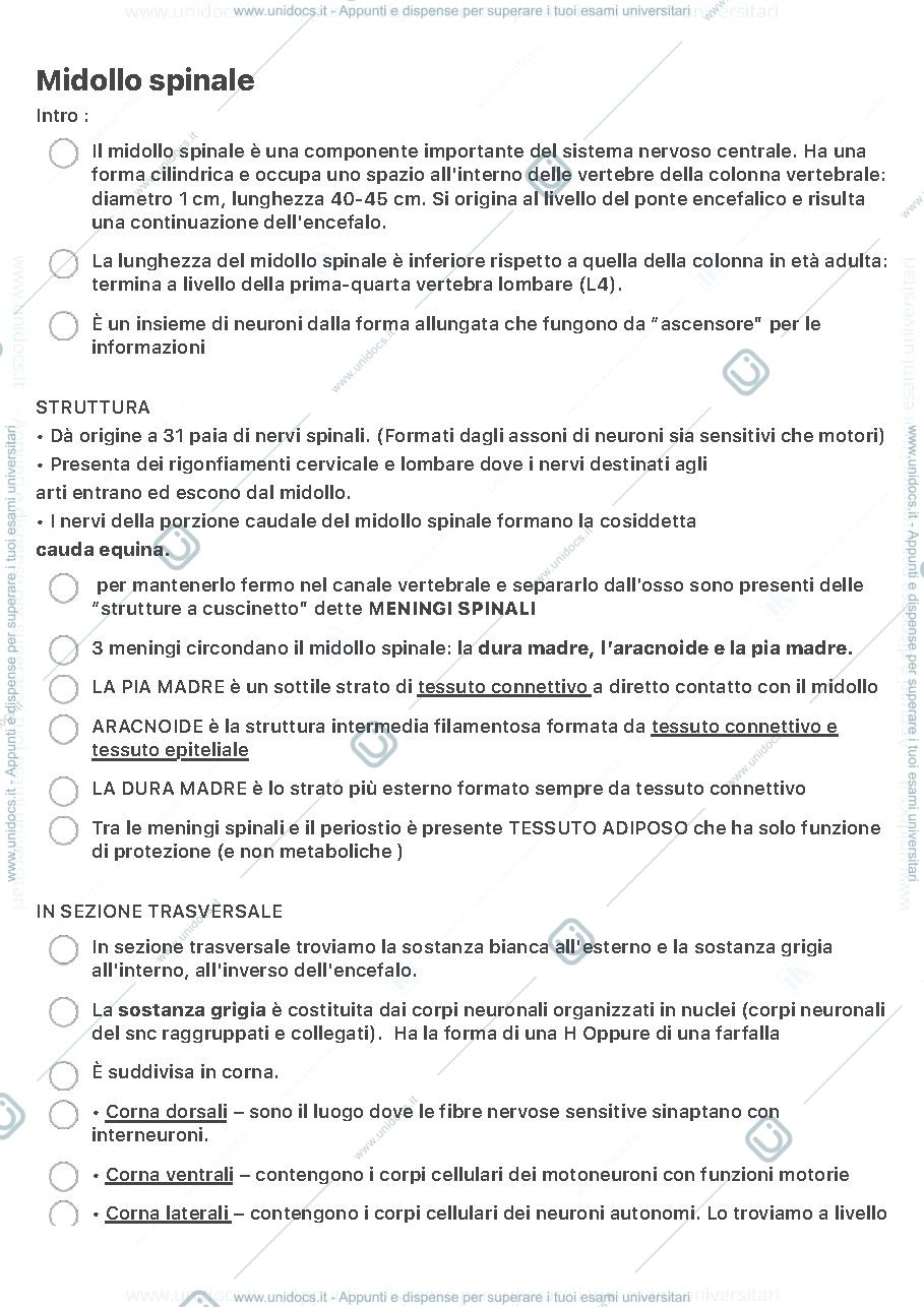 Anteprima pagina 1 — Midollo spinale e sistema nervoso 