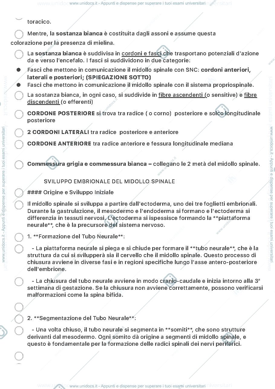 Anteprima pagina 2 — Midollo spinale e sistema nervoso 