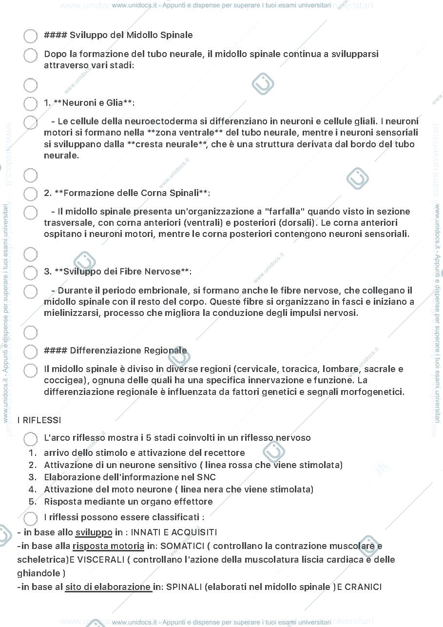 Anteprima pagina 3 — Midollo spinale e sistema nervoso 