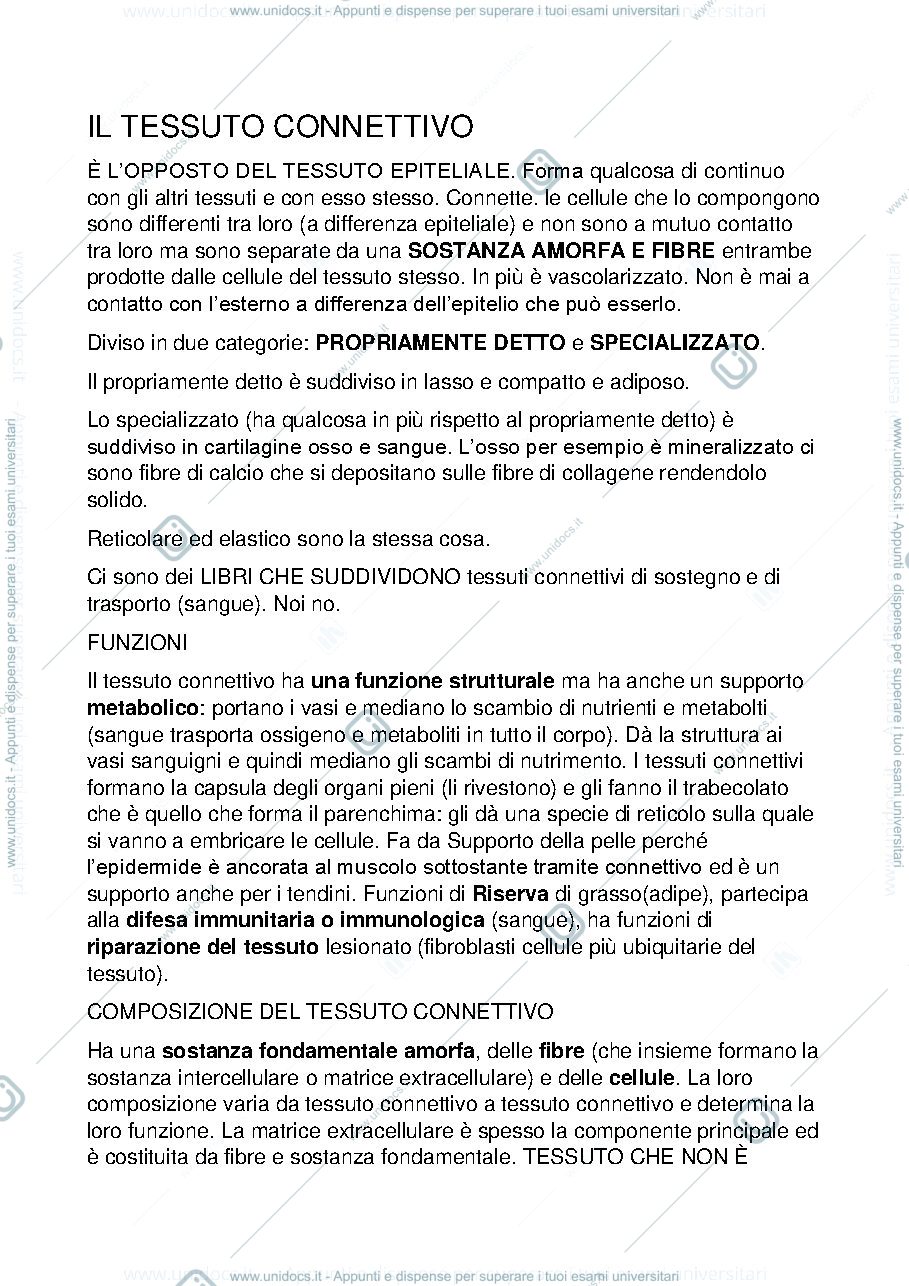 Anteprima pagina 1 — tessuto connettivo 