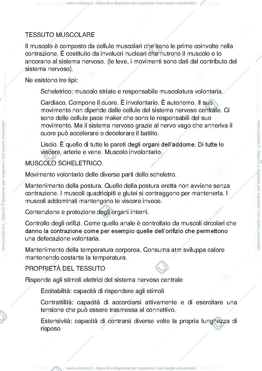 Anteprima pagina 1 — tessuto muscolare