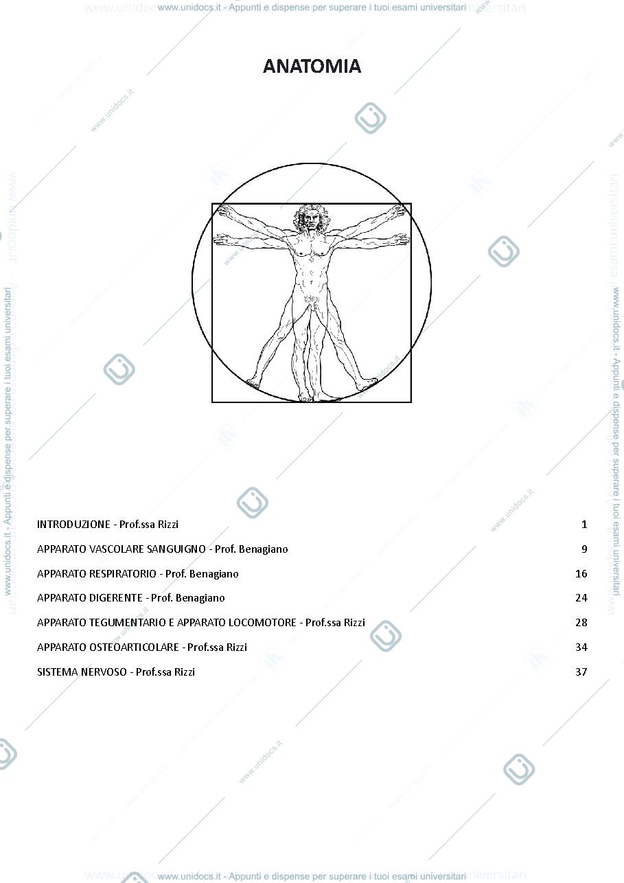 Anteprima pagina 1 — ANATOMIA UMANA