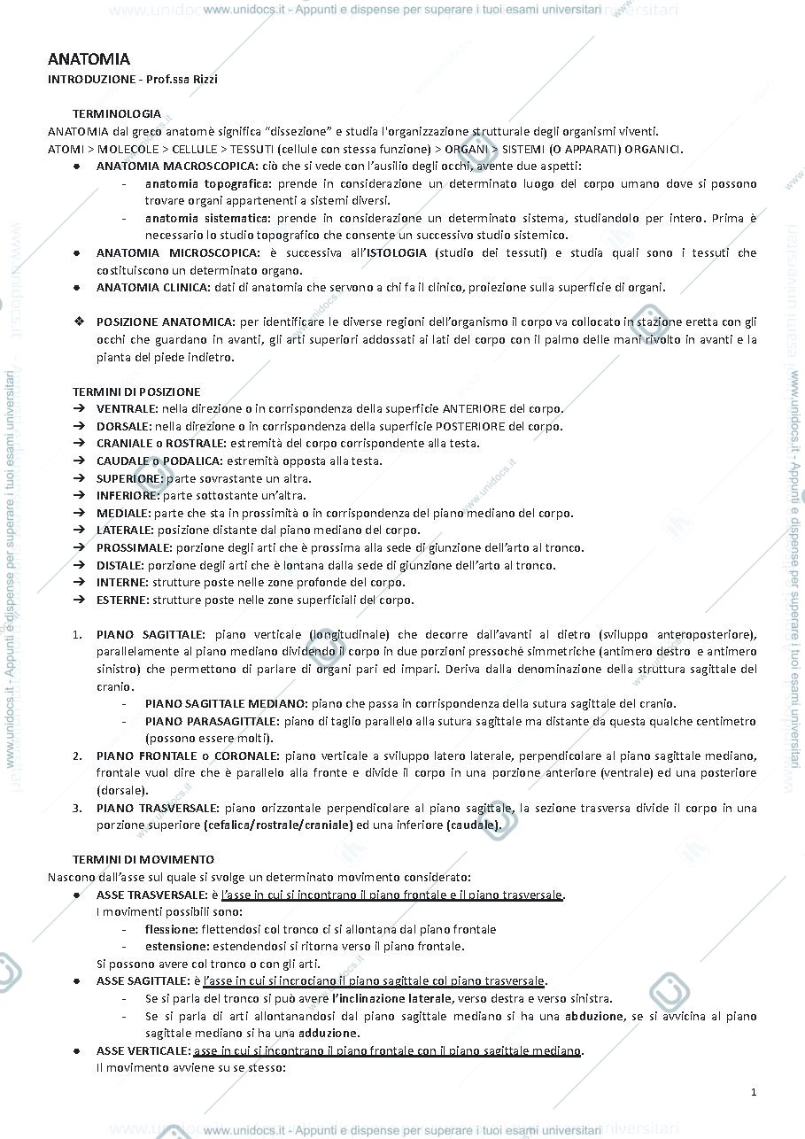 Anteprima pagina 2 — ANATOMIA UMANA