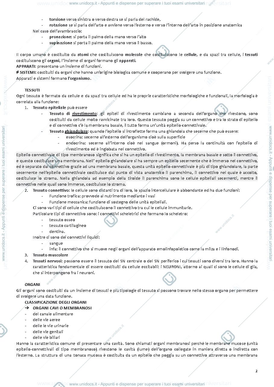 Anteprima pagina 3 — ANATOMIA UMANA