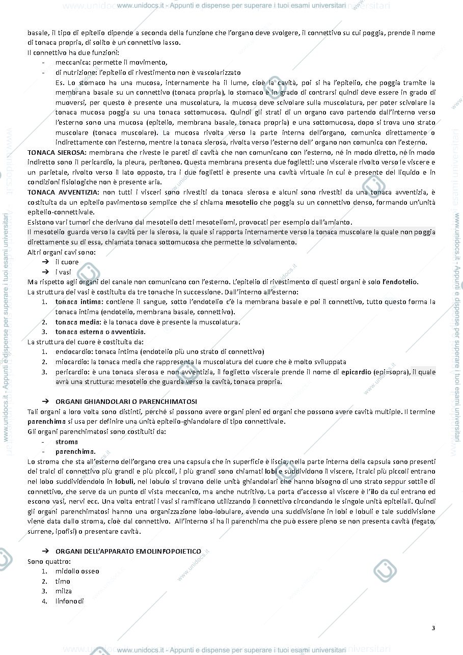 Anteprima pagina 4 — ANATOMIA UMANA