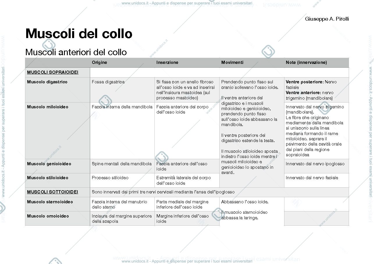 Anteprima pagina 1 — muscoli collo