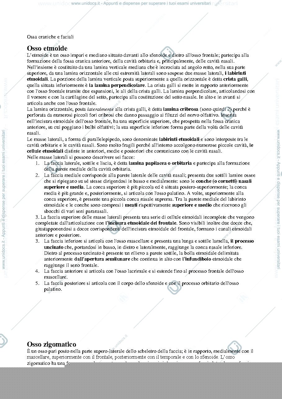 Anteprima pagina 1 — Ossa facciali