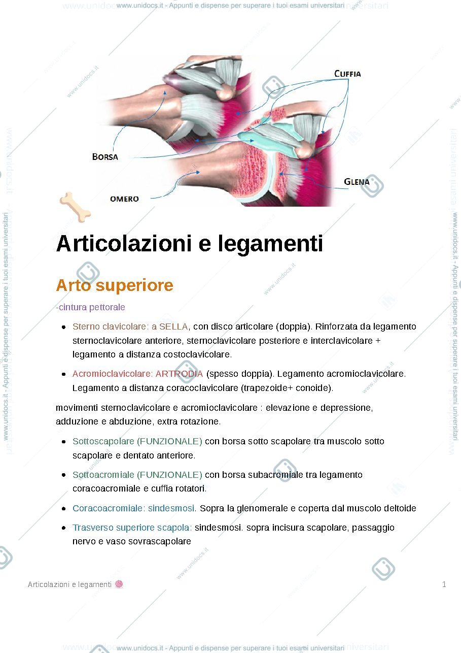 Anteprima pagina 1 — Articolazioni e legamenti arto superiore 