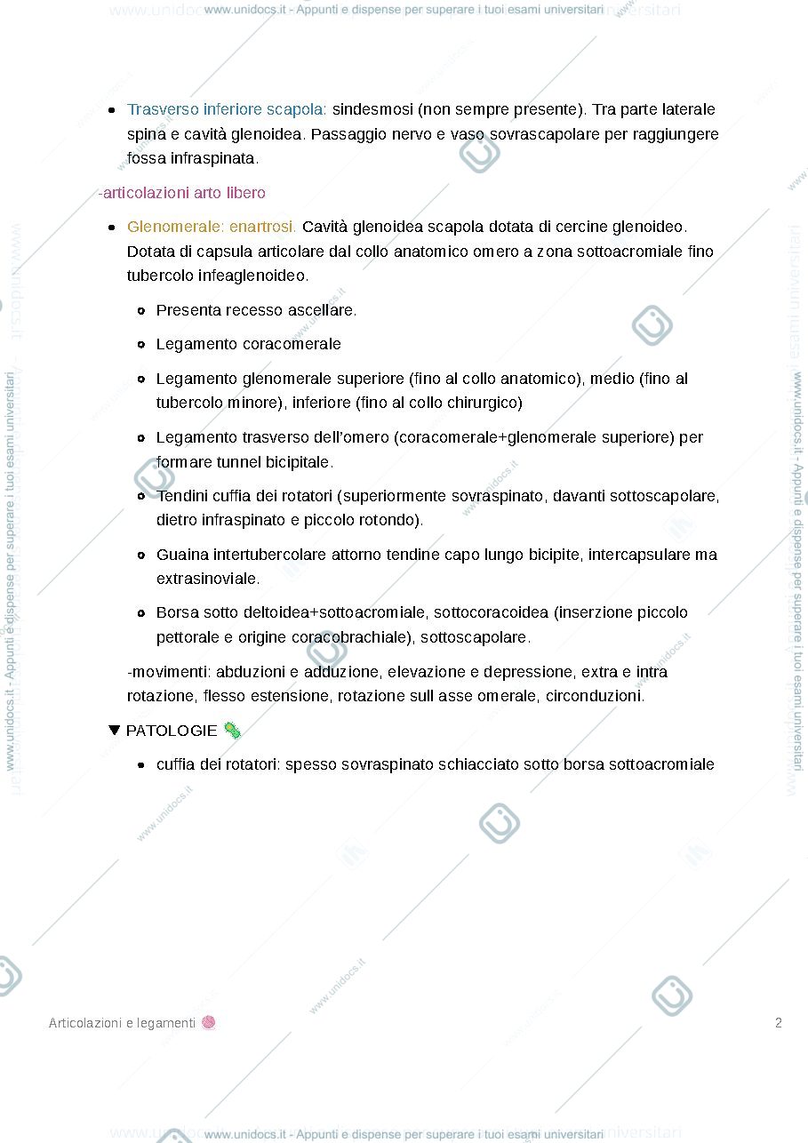 Anteprima pagina 2 — Articolazioni e legamenti arto superiore 