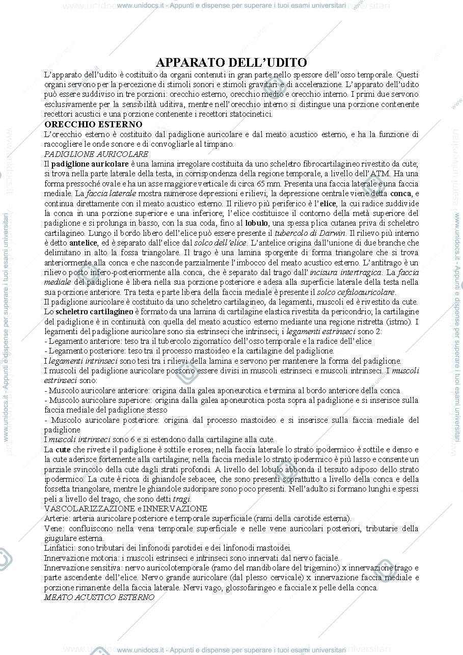 Anteprima pagina 1 — Orecchio