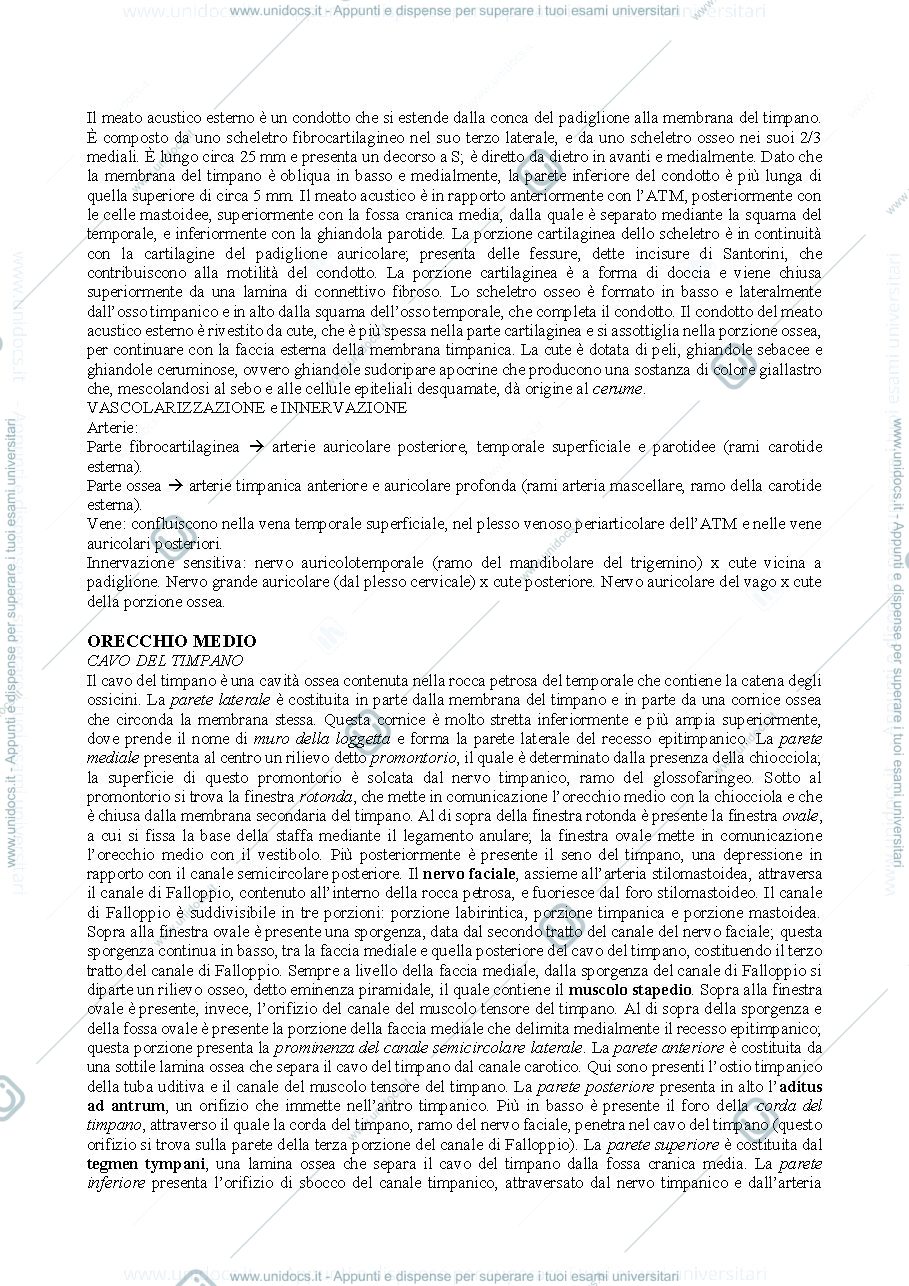 Anteprima pagina 2 — Orecchio