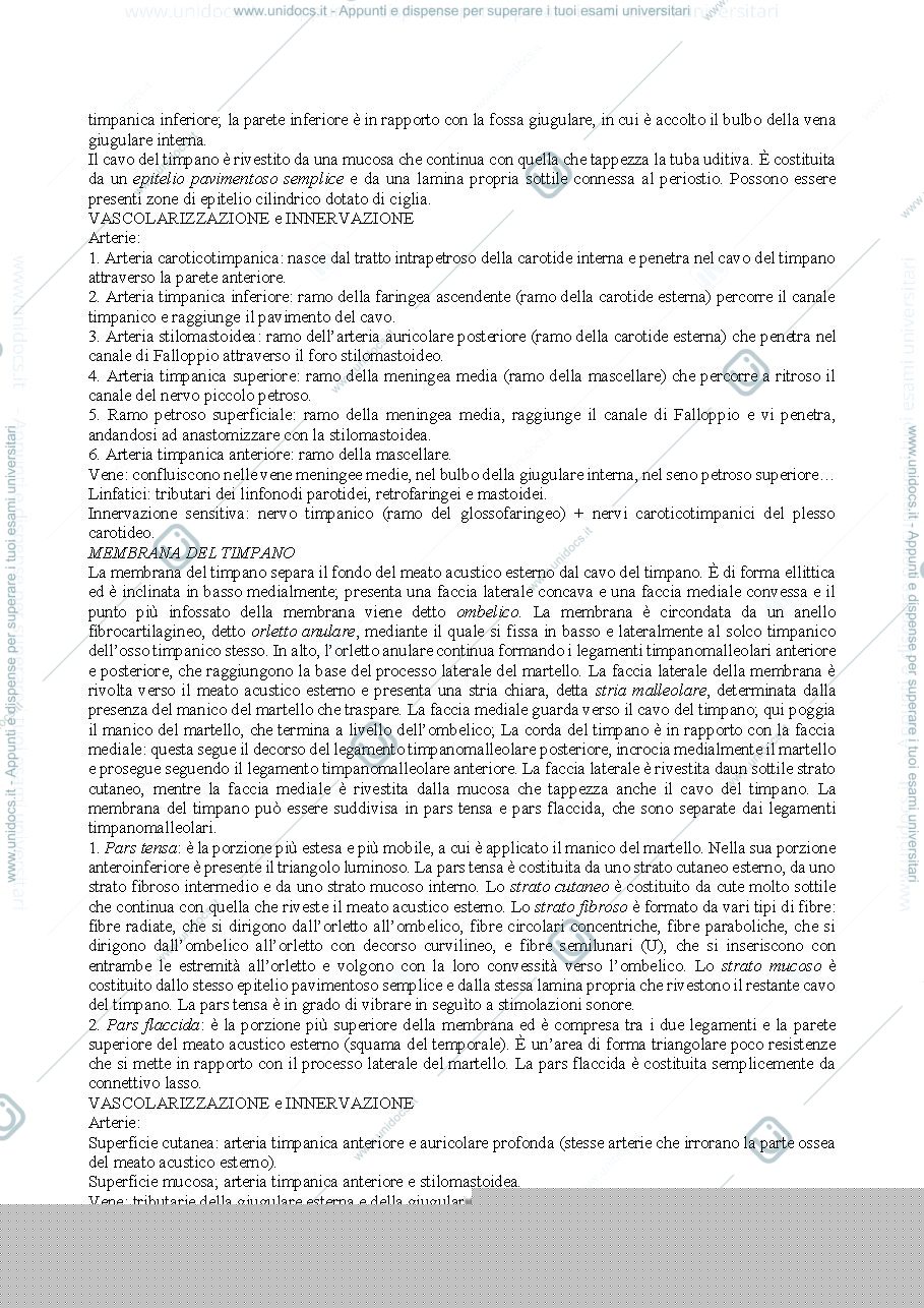Anteprima pagina 3 — Orecchio