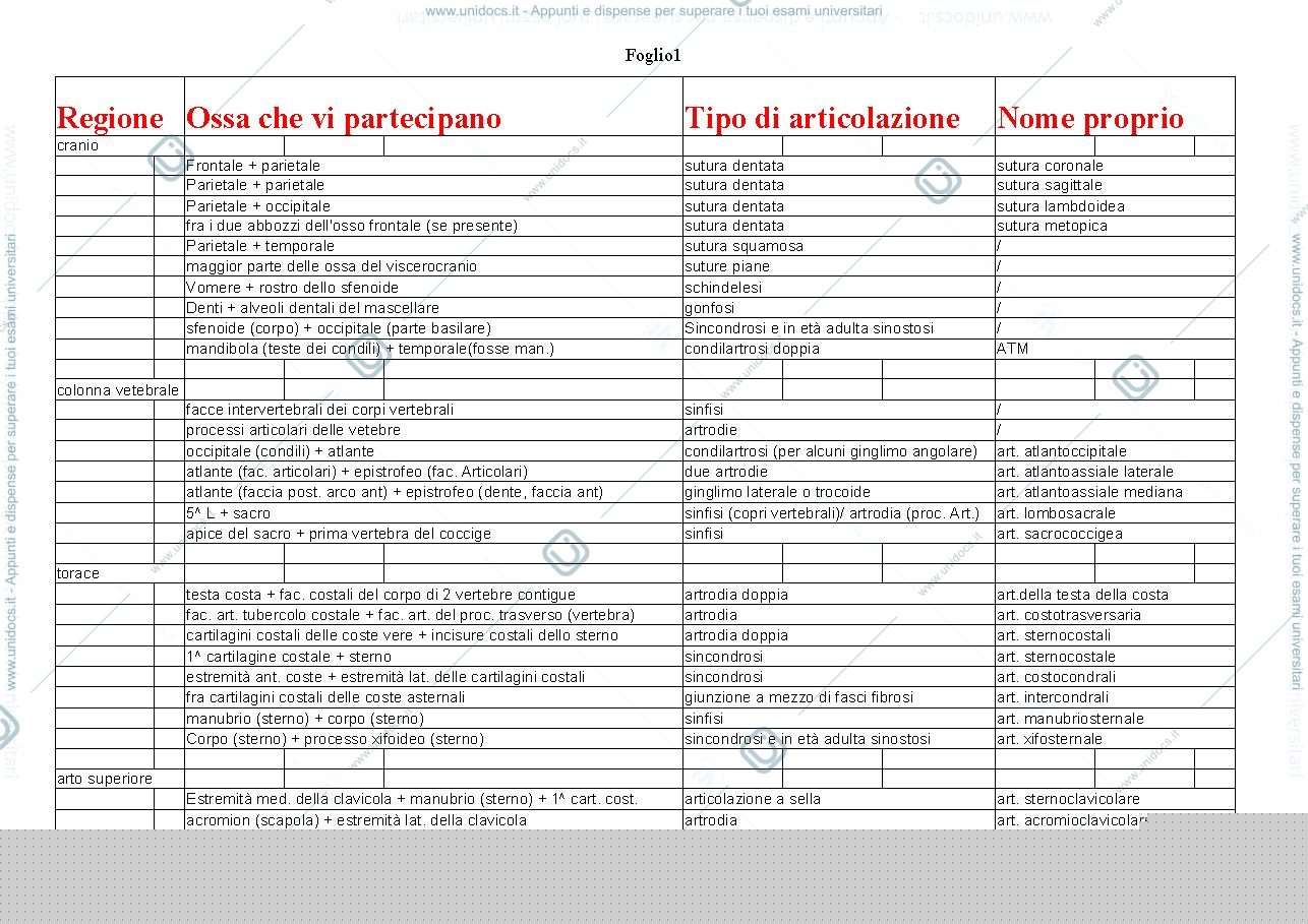 Anteprima pagina 1 — SCHEMA ARTICOLAZIONI