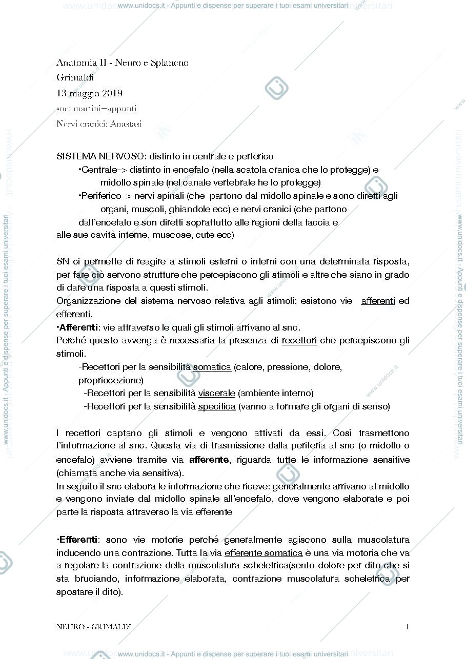 Anteprima pagina 1 — Anatomia II - Neuro