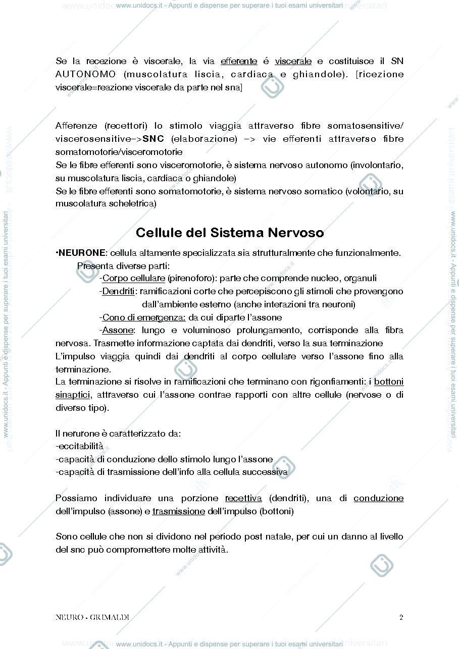 Anteprima pagina 2 — Anatomia II - Neuro