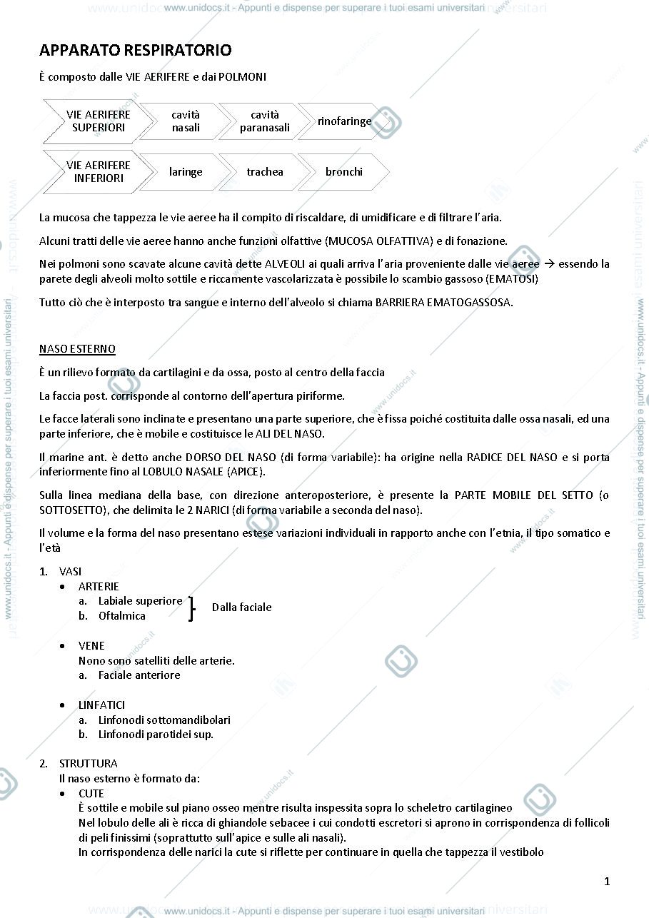 Anteprima pagina 1 — Apparato respiratorio