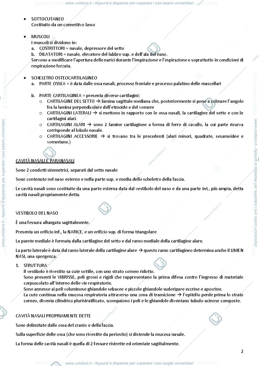 Anteprima pagina 2 — Apparato respiratorio