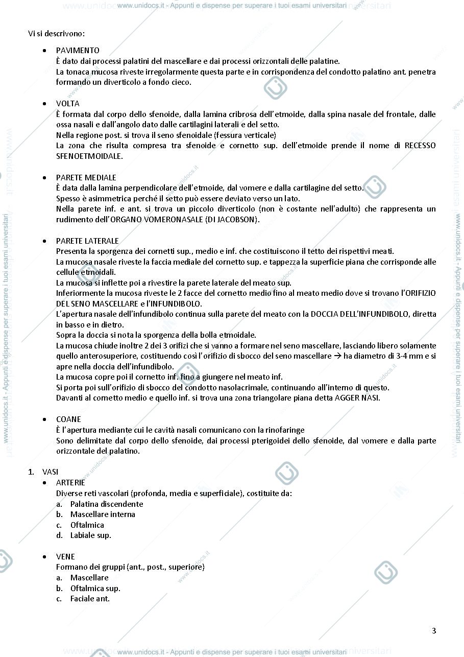 Anteprima pagina 3 — Apparato respiratorio