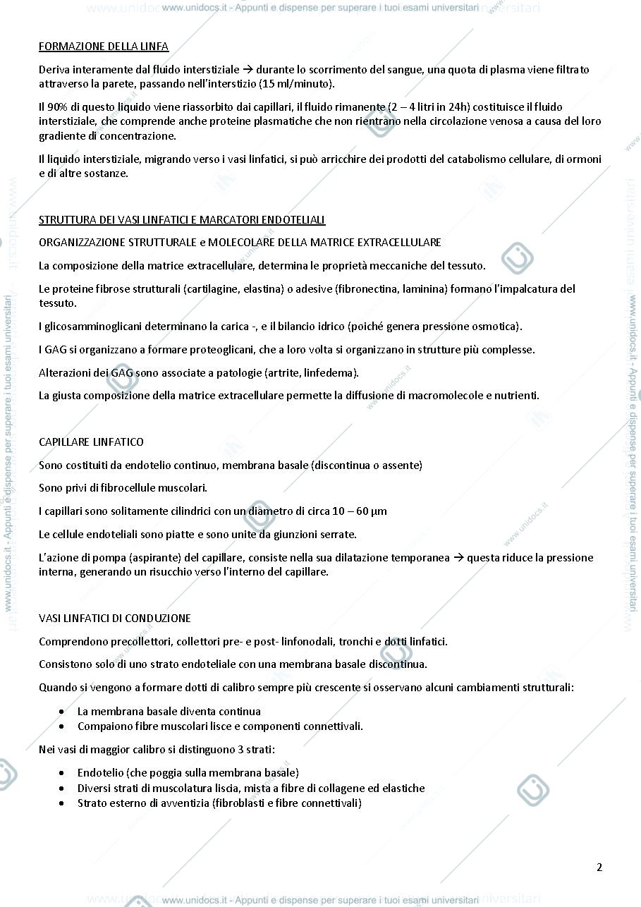 Anteprima pagina 2 — Apparato linfatico