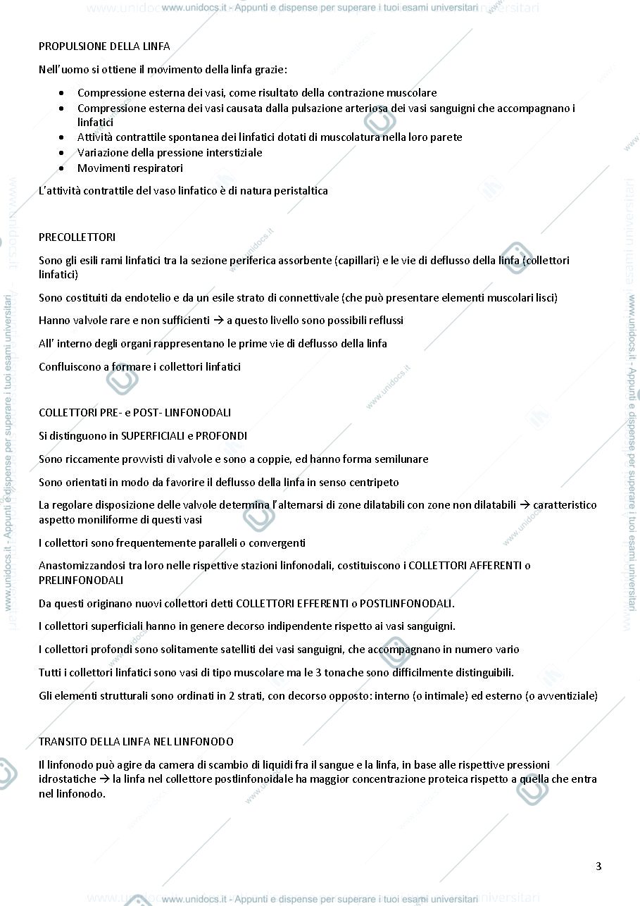 Anteprima pagina 3 — Apparato linfatico