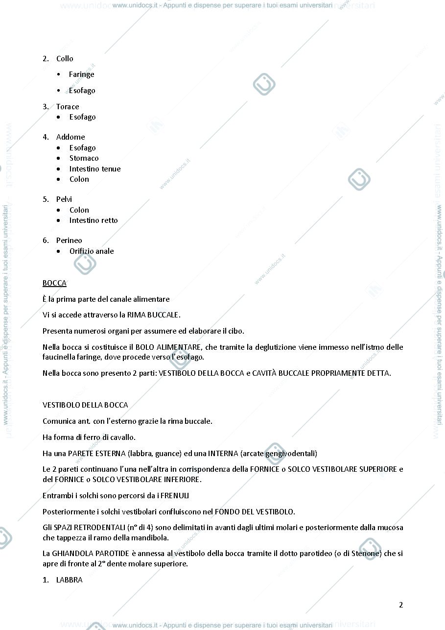 Anteprima pagina 2 — Anatomia dell' apparato digerente