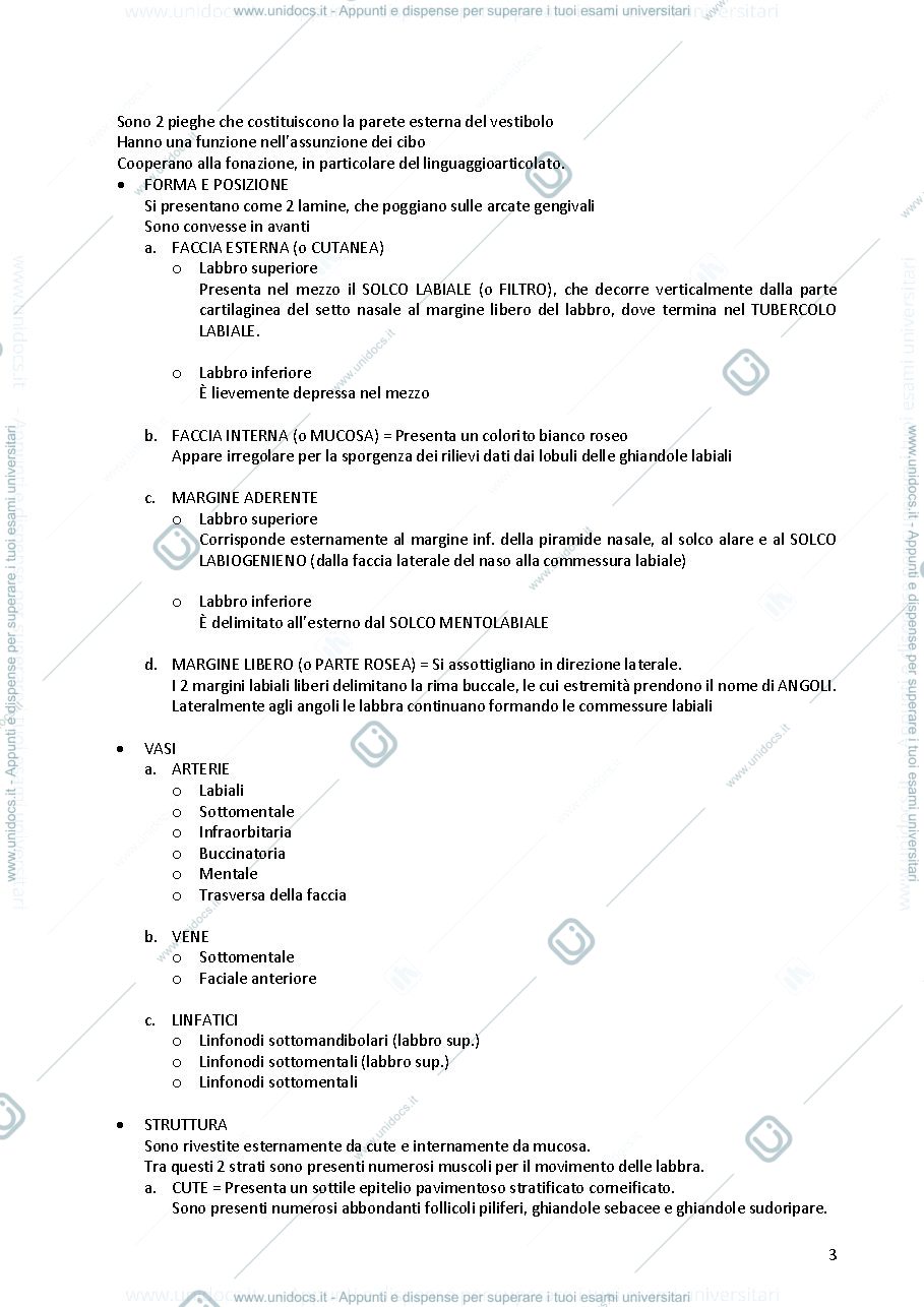 Anteprima pagina 3 — Anatomia dell' apparato digerente