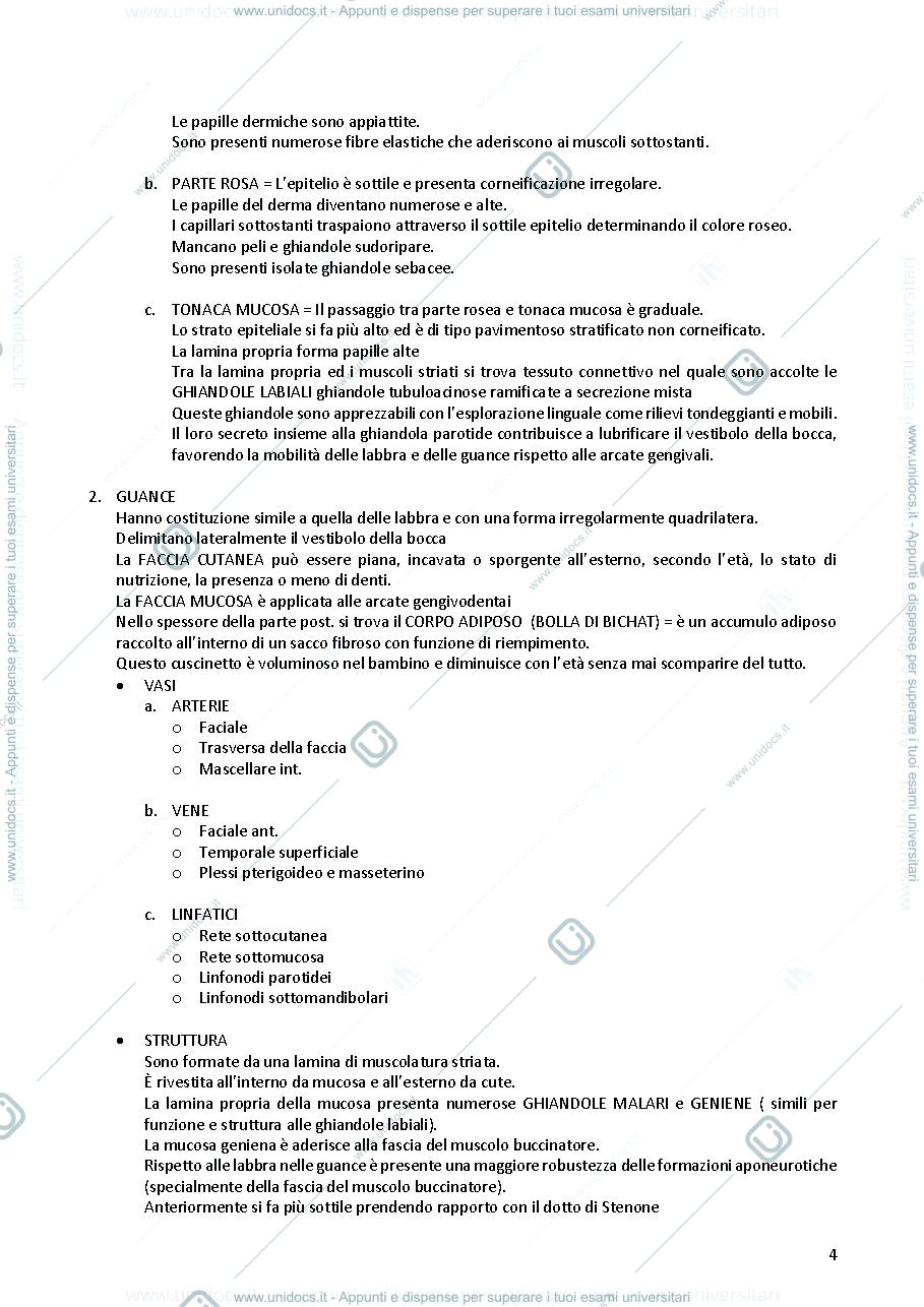 Anteprima pagina 4 — Anatomia dell' apparato digerente