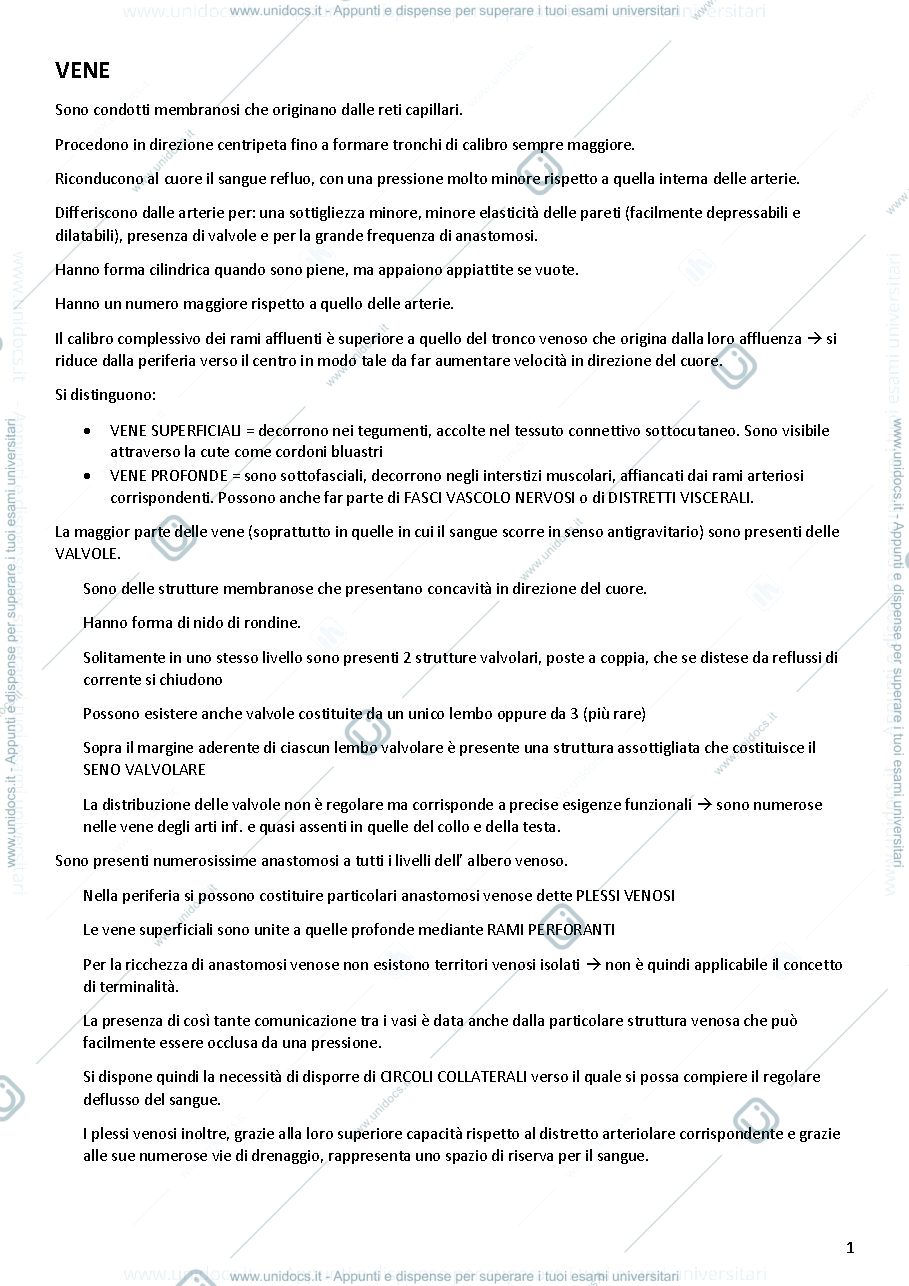 Anteprima pagina 1 — Anatomia delle vene