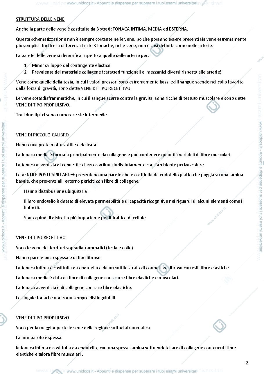 Anteprima pagina 2 — Anatomia delle vene