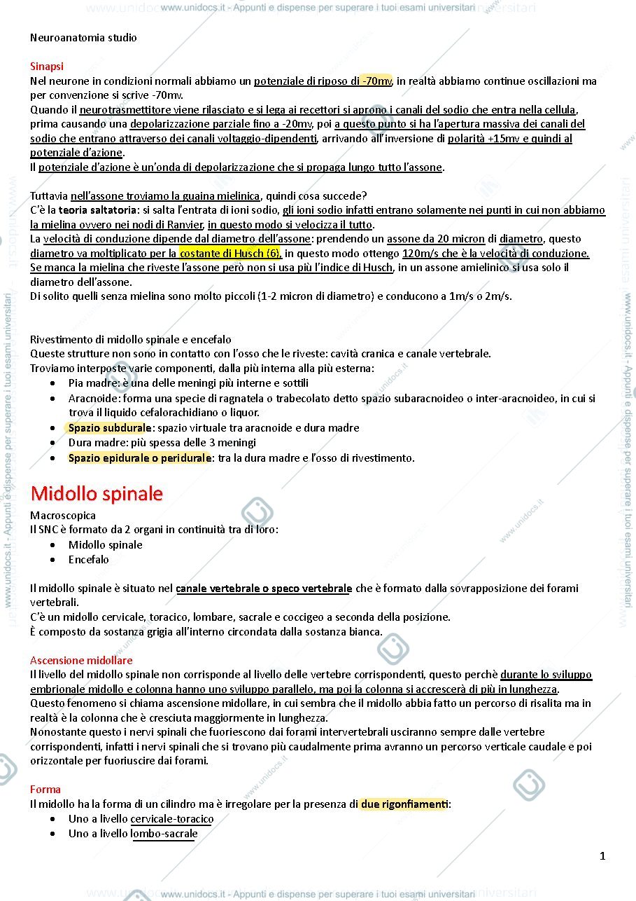 Anteprima pagina 1 — Riassunti di anatomia II