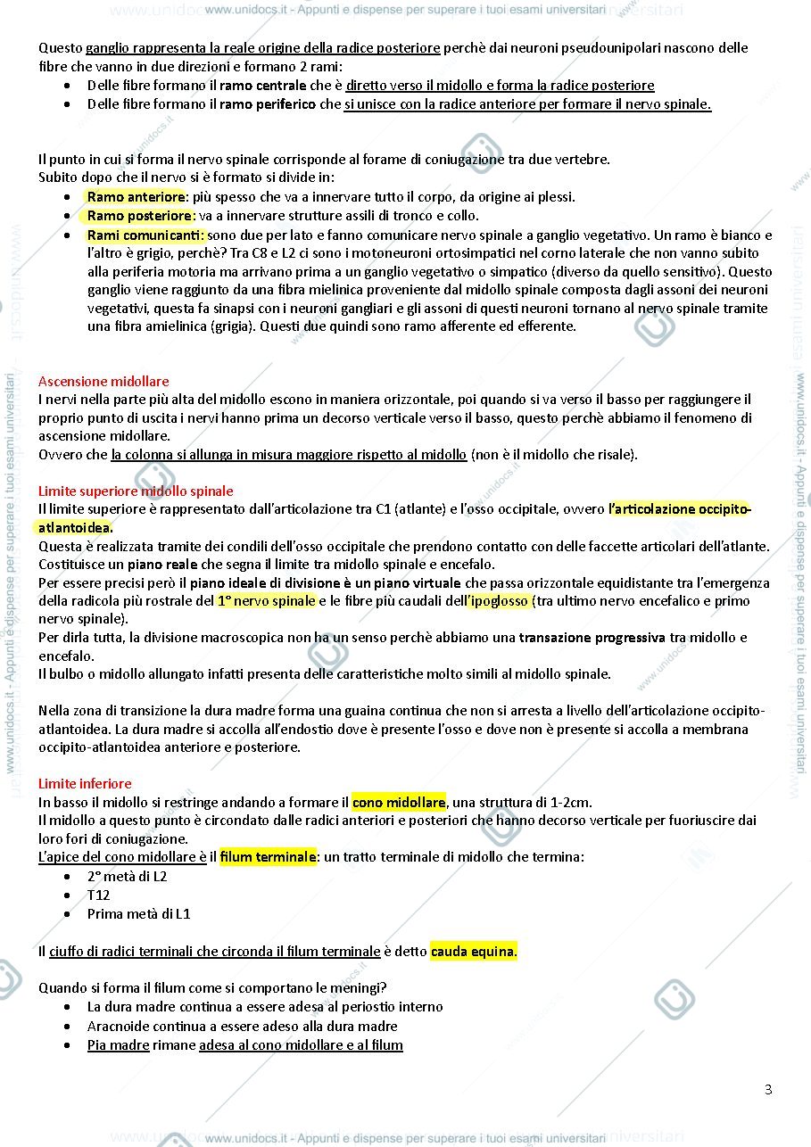Anteprima pagina 3 — Riassunti di anatomia II