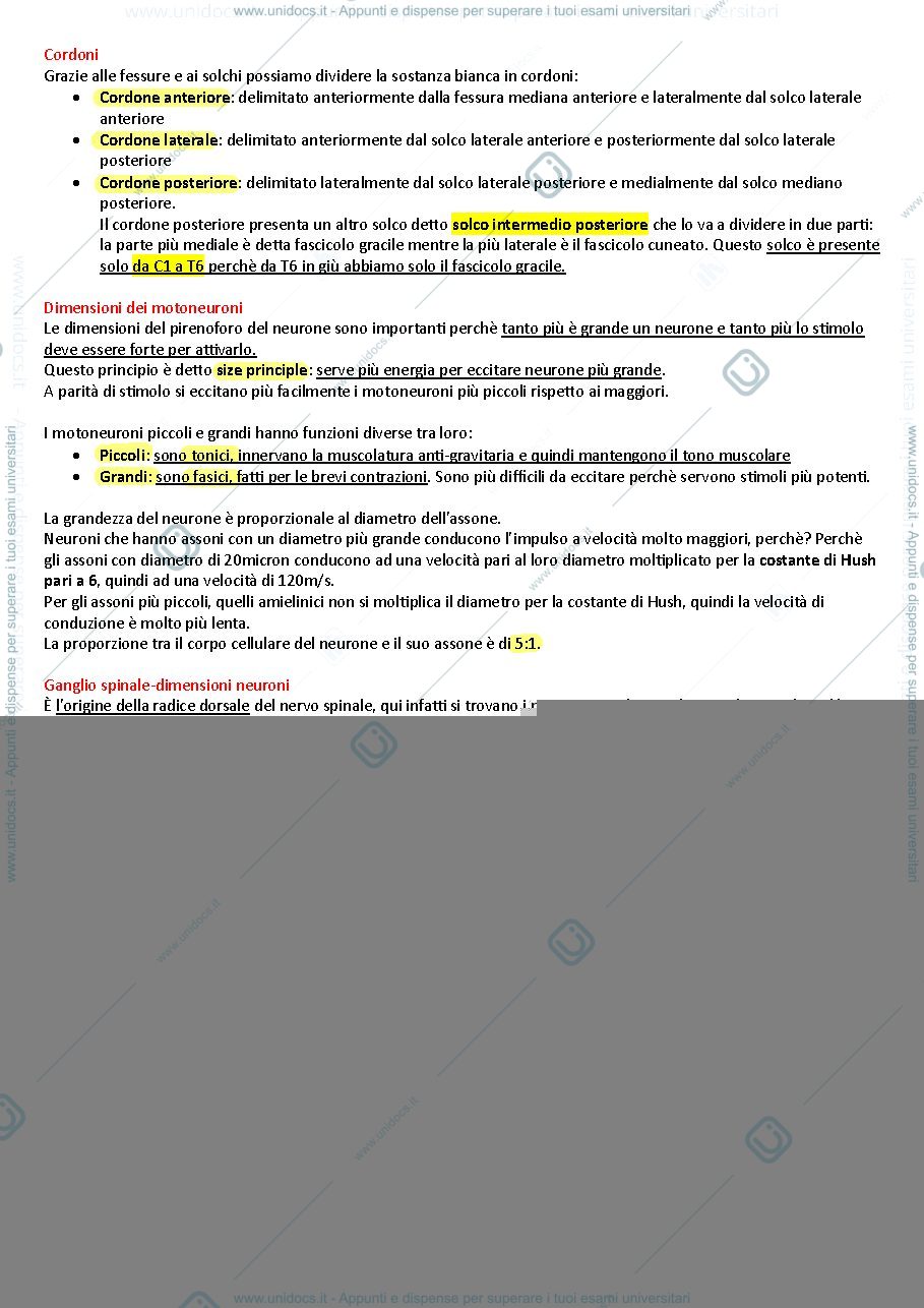 Anteprima pagina 5 — Riassunti di anatomia II