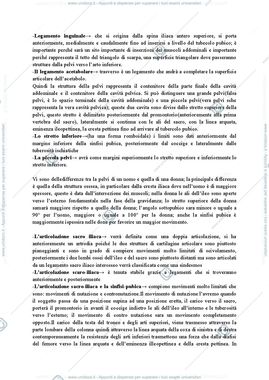 Anteprima pagina 3 — anatom
