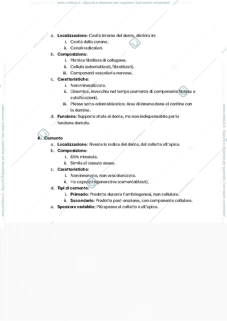 Anteprima pagina 1 — denti