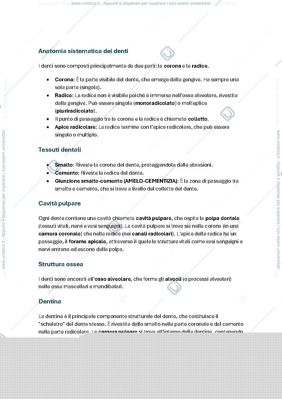 Anteprima pagina 1 — ANATOMIA denti
