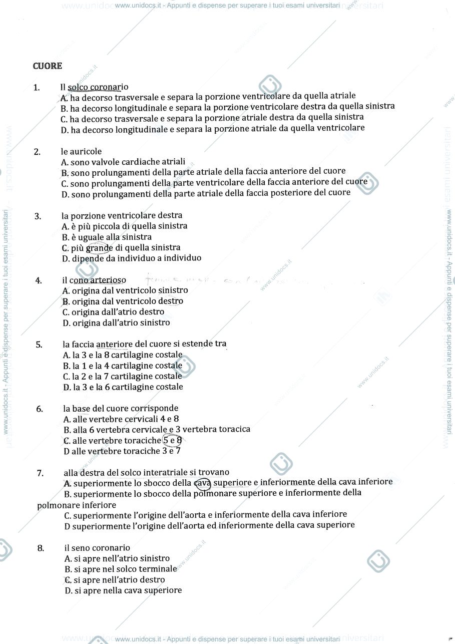 Anteprima pagina 1 — Domande esame scritto anatomia !