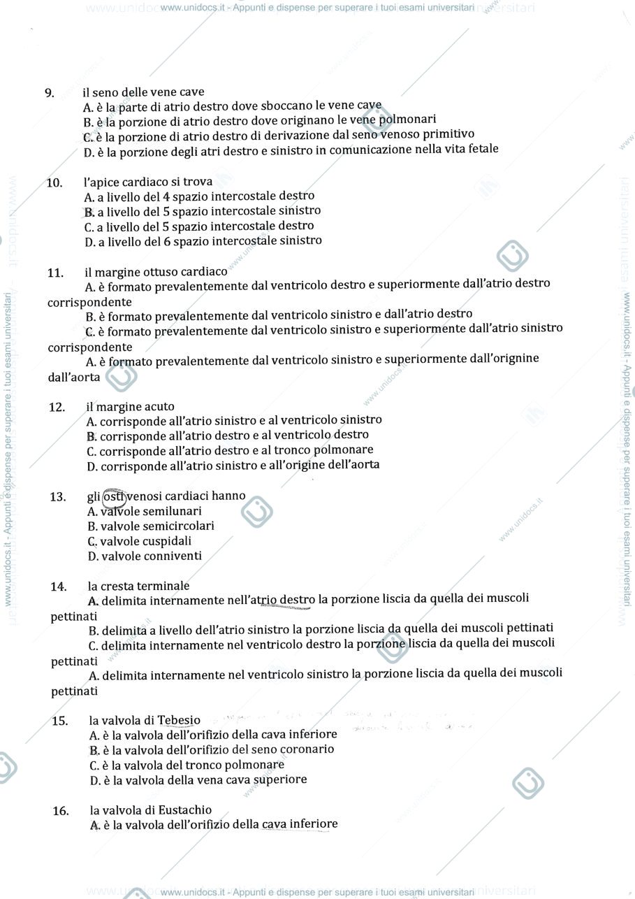 Anteprima pagina 2 — Domande esame scritto anatomia !