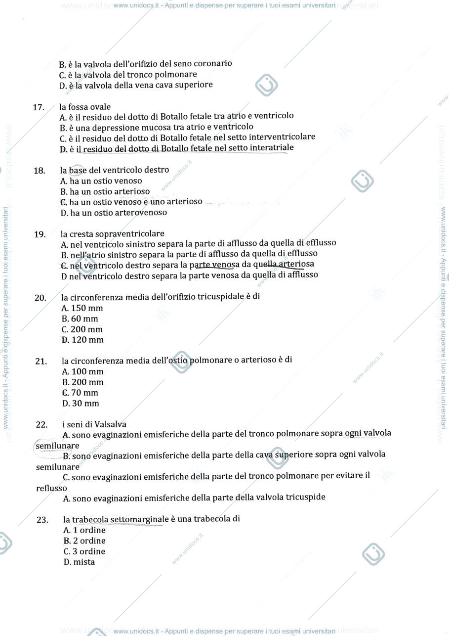 Anteprima pagina 3 — Domande esame scritto anatomia !