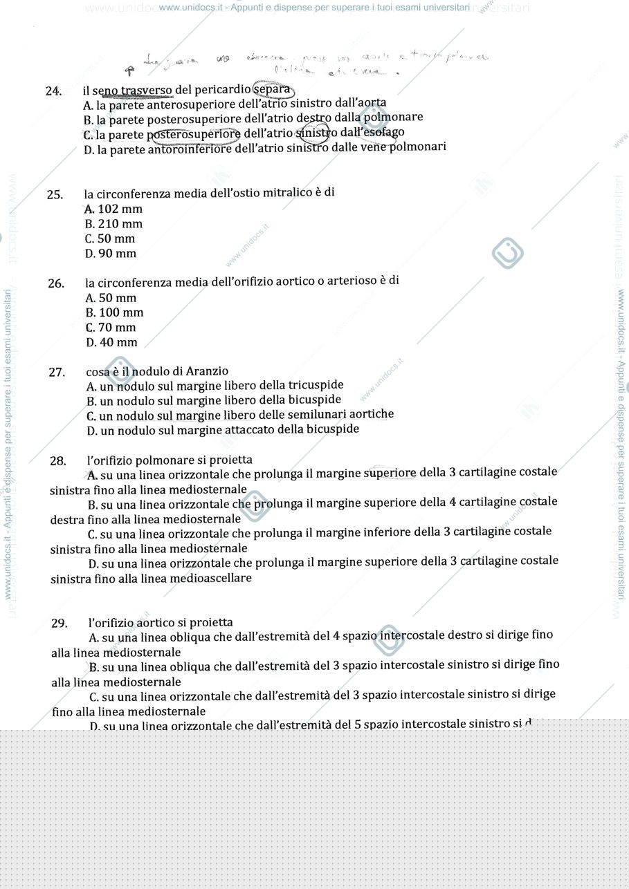 Anteprima pagina 4 — Domande esame scritto anatomia !