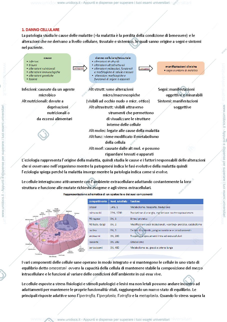 Anteprima pagina 1 — Danno cellulare 