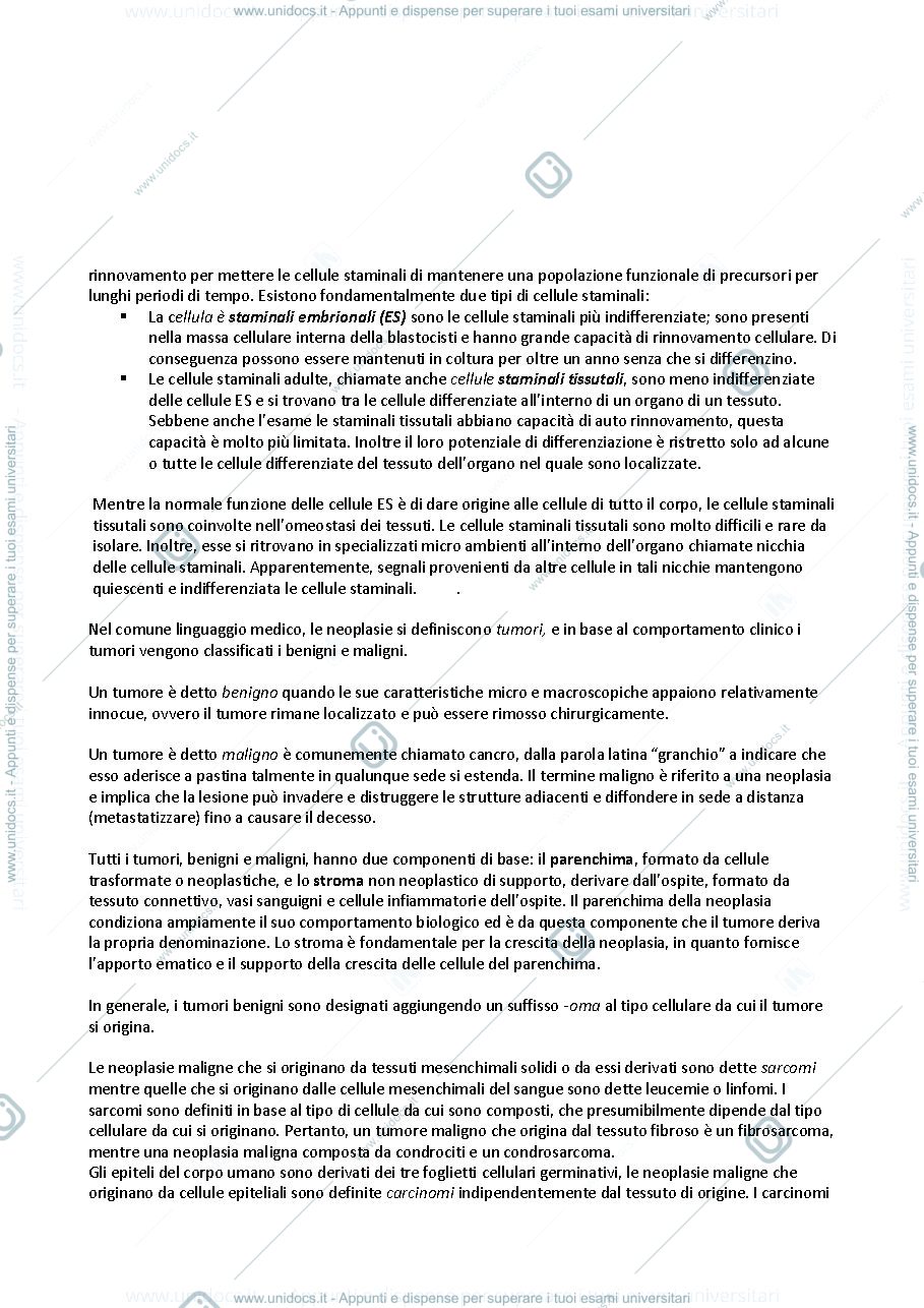 Anteprima pagina 2 — Oncologia
