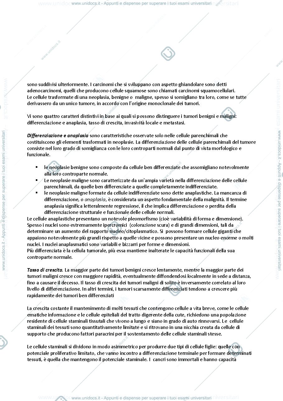 Anteprima pagina 3 — Oncologia