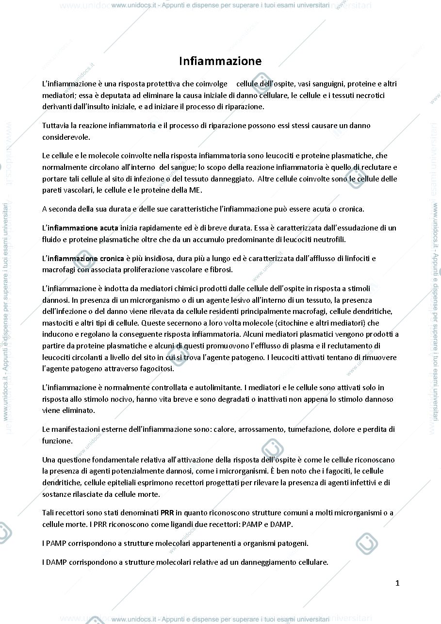 Anteprima pagina 1 — Infiammazione