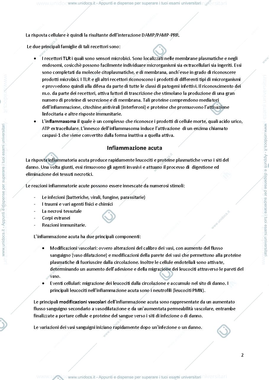 Anteprima pagina 2 — Infiammazione