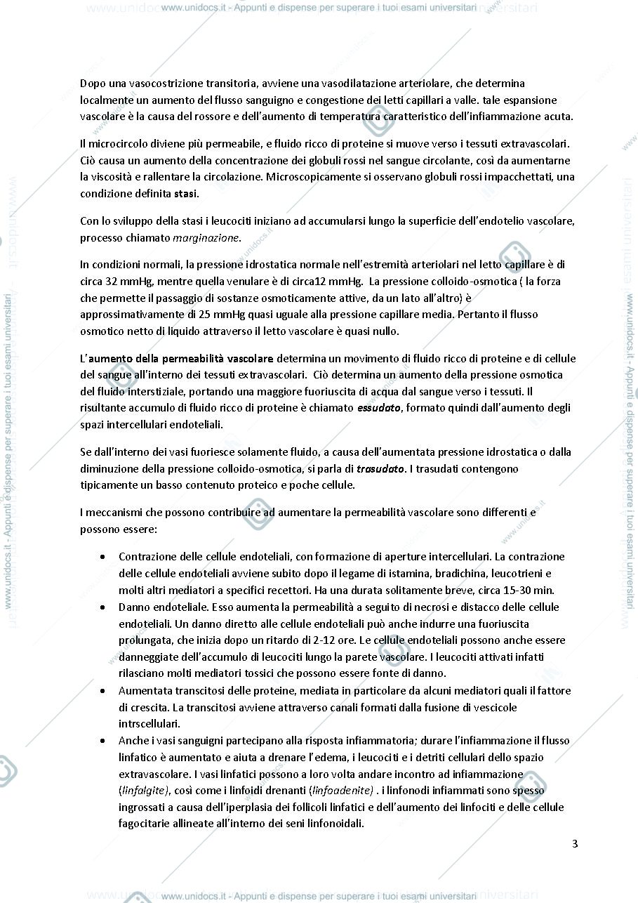 Anteprima pagina 3 — Infiammazione