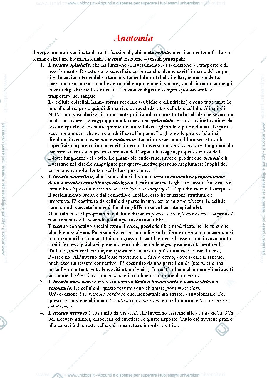 Anteprima pagina 1 — Anatomia