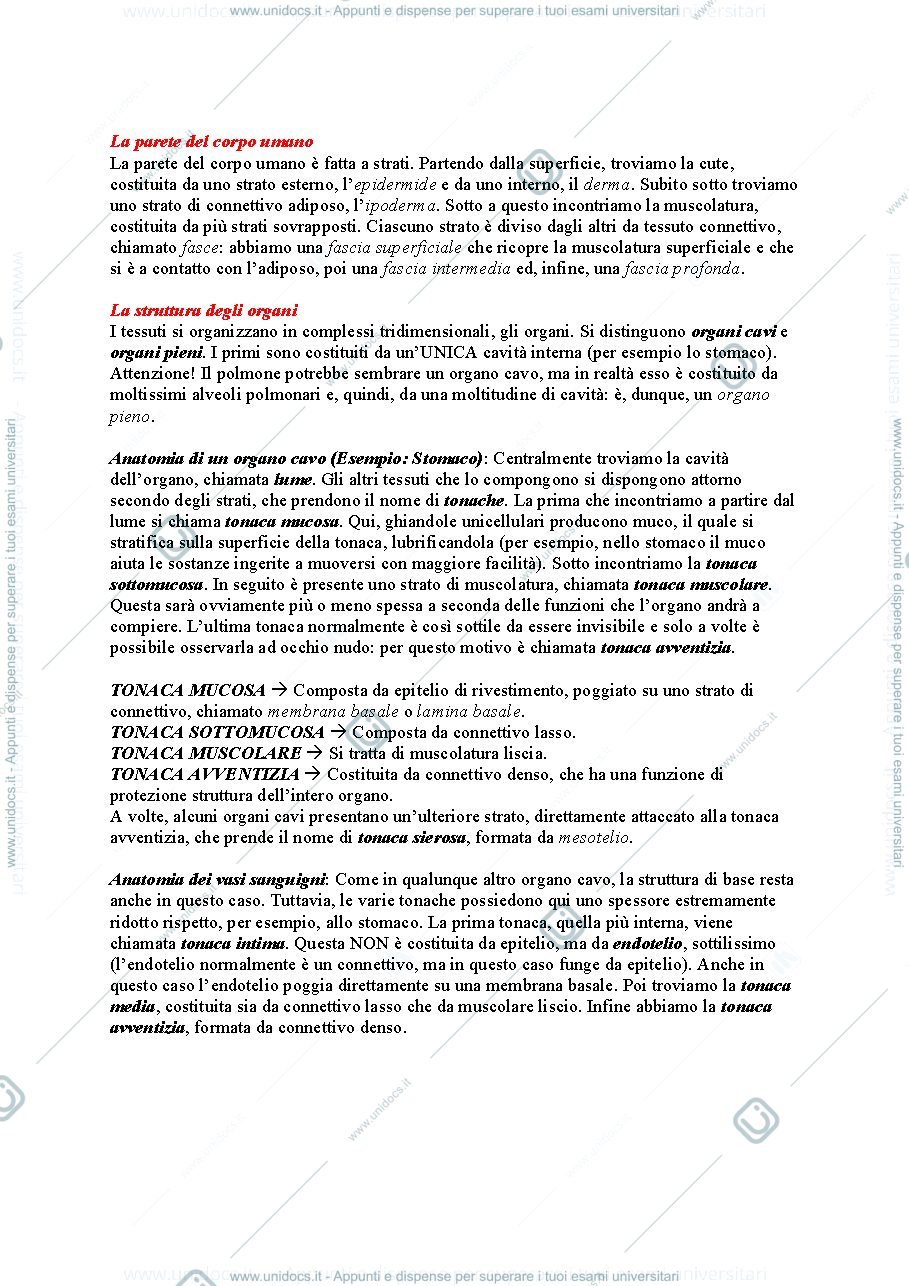 Anteprima pagina 2 — Anatomia